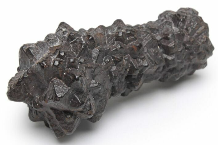 Goethite (Limonite) Pseudomorph after Pyrite/Marcasite - Egypt #219751